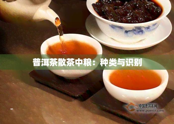 普洱茶散茶中粮：种类与识别