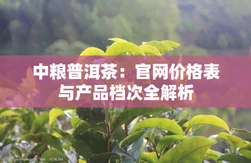 中粮普洱茶：官网价格表与产品档次全解析