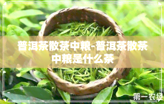 普洱茶散茶中粮-普洱茶散茶中粮是什么茶