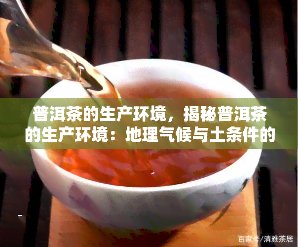 普洱茶的生产环境，揭秘普洱茶的生产环境：地理气候与土条件的影响