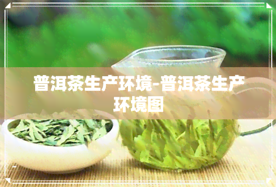 普洱茶生产环境-普洱茶生产环境图