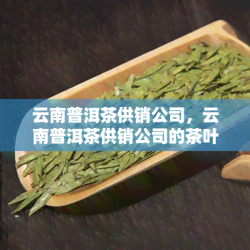 云南普洱茶供销公司，云南普洱茶供销公司的茶叶直销，让您品尝正宗的普洱好茶！