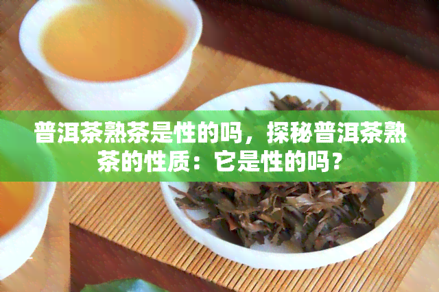 普洱茶熟茶是性的吗，探秘普洱茶熟茶的性质：它是性的吗？