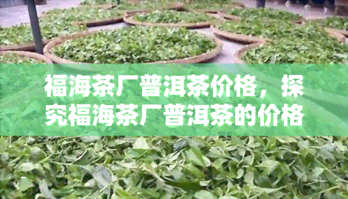 福海茶厂普洱茶价格，探究福海茶厂普洱茶的价格走势与品质评价