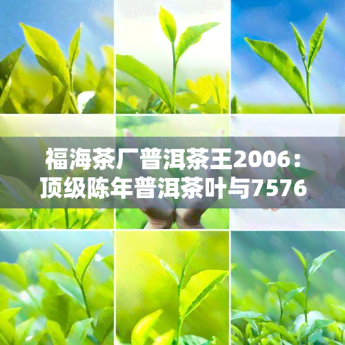 福海茶厂普洱茶王2006：顶级陈年普洱茶叶与7576的经典结合