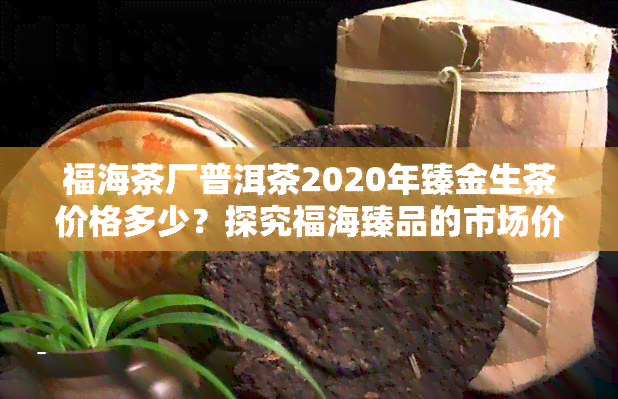 福海茶厂普洱茶2020年臻金生茶价格多少？探究福海臻品的市场价值