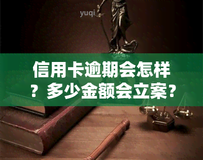 信用卡逾期会怎样？多少金额会立案？详细解析