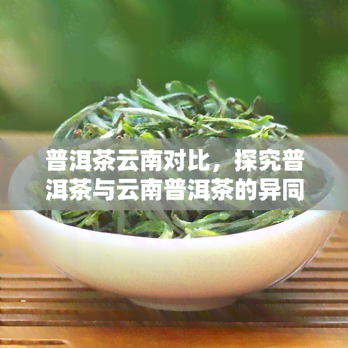 普洱茶云南对比，探究普洱茶与云南普洱茶的异同之处