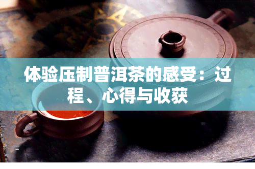 体验压制普洱茶的感受：过程、心得与收获