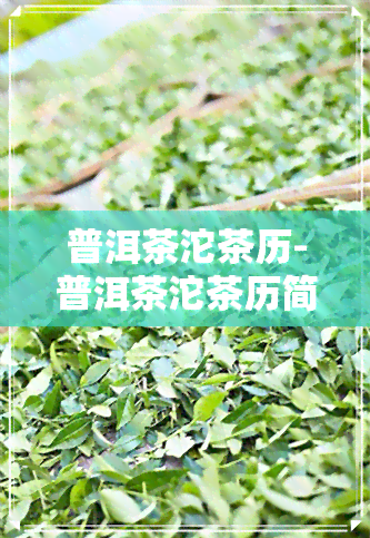 普洱茶沱茶历-普洱茶沱茶历简介