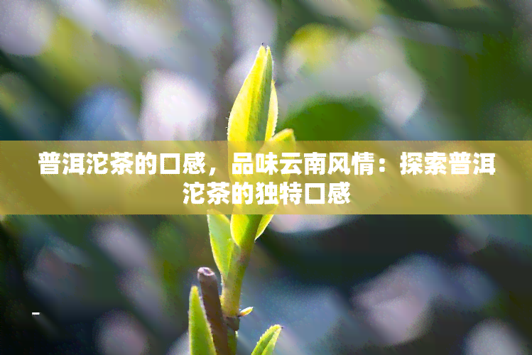 普洱沱茶的口感，品味云南风情：探索普洱沱茶的独特口感