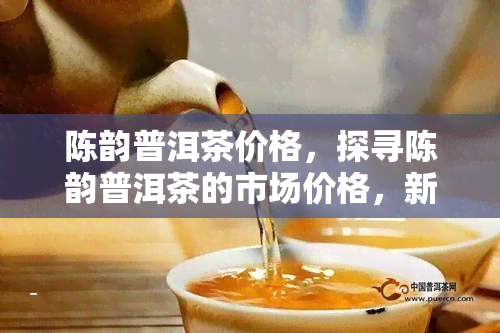 陈韵普洱茶价格，探寻陈韵普洱茶的市场价格，新品与老款茶叶的比较