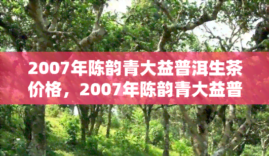 2007年陈韵青大益普洱生茶价格，2007年陈韵青大益普洱生茶价格是多少？