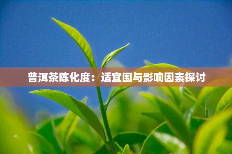 普洱茶陈化度：适宜围与影响因素探讨