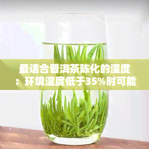 最适合普洱茶陈化的湿度：环境湿度低于35%时可能出现的问题及转换度湿度