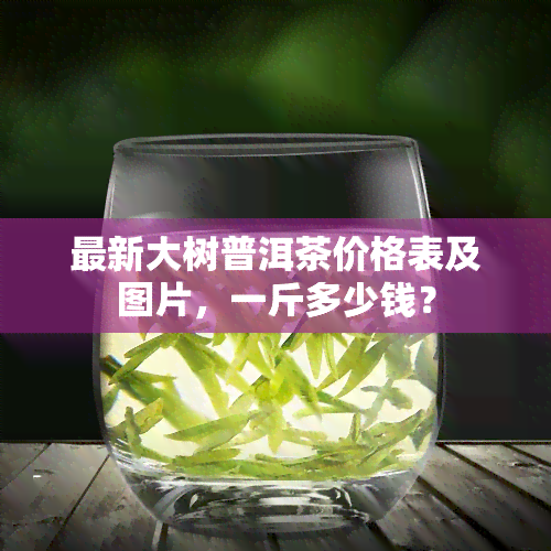 最新大树普洱茶价格表及图片，一斤多少钱？