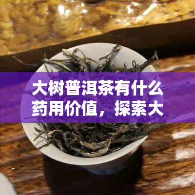 大树普洱茶有什么药用价值，探索大树普洱茶的药用价值：一种自然的健饮品