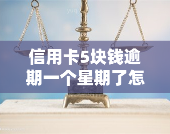 信用卡5块钱逾期一个星期了怎么办，信用卡逾期5元一周，如何解决？