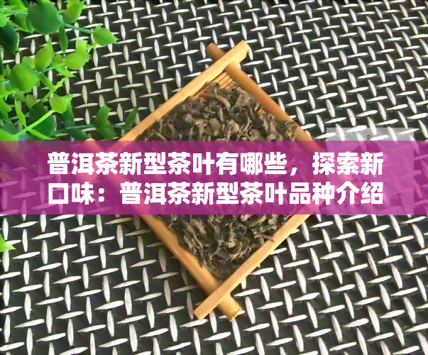 普洱茶新型茶叶有哪些，探索新口味：普洱茶新型茶叶品种介绍