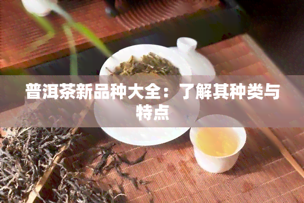 普洱茶新品种大全：了解其种类与特点