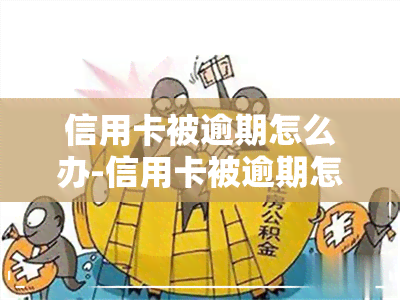 信用卡被逾期怎么办-信用卡被逾期怎么办理