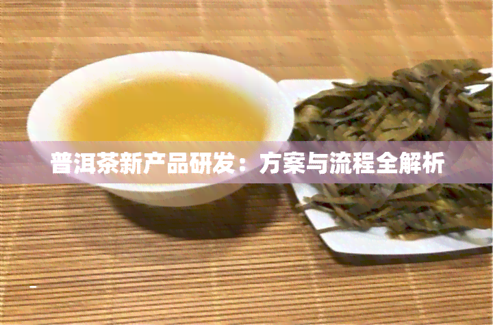 普洱茶新产品研发：方案与流程全解析