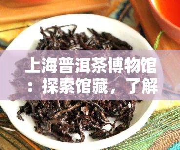 上海普洱茶博物馆：探索馆藏，了解地址