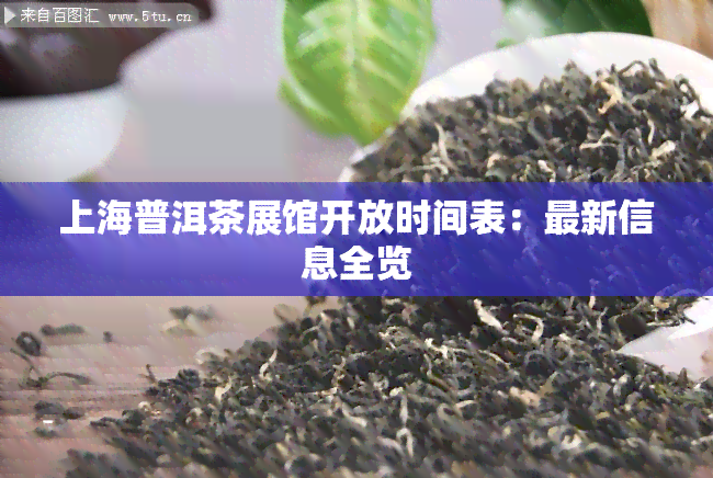 上海普洱茶展馆开放时间表：最新信息全览