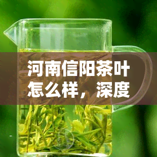 河南信阳茶叶怎么样，深度解析：河南信阳茶叶的品质与特点