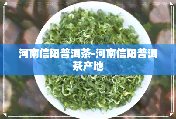 河南信阳普洱茶-河南信阳普洱茶产地