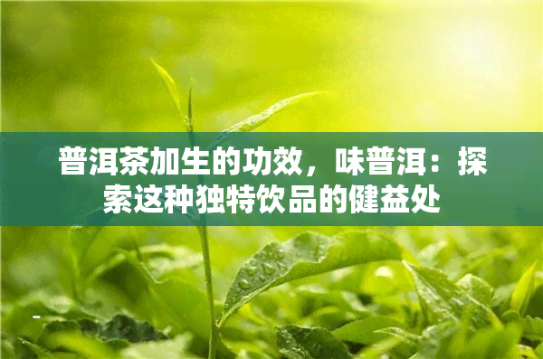 普洱茶加生的功效，味普洱：探索这种独特饮品的健益处