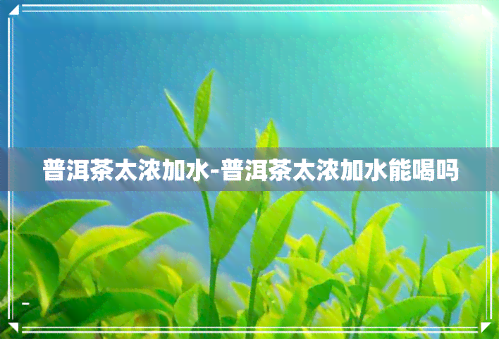 普洱茶太浓加水-普洱茶太浓加水能喝吗