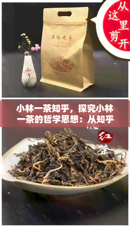 小林一茶知乎，探究小林一茶的哲学思想：从知乎问答中寻找答案