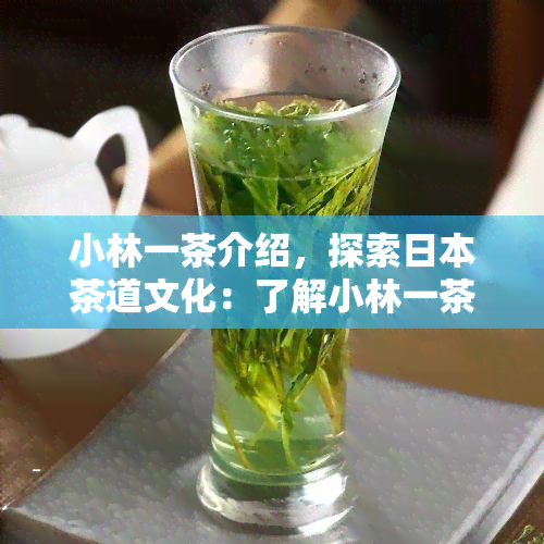 小林一茶介绍，探索茶道文化：了解小林一茶的故事与精神