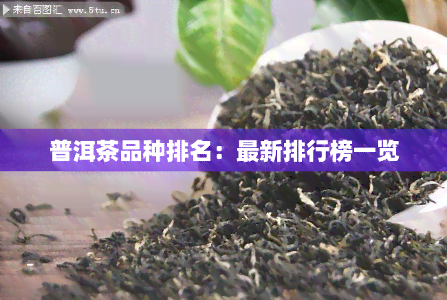 普洱茶品种排名：最新排行榜一览