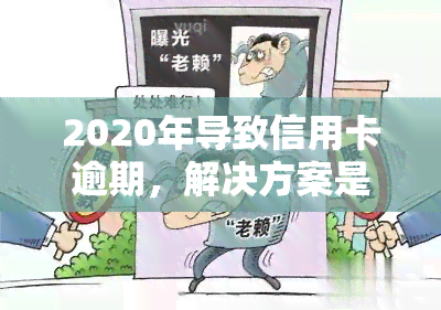 2020年导致信用卡逾期，解决方案是什么？