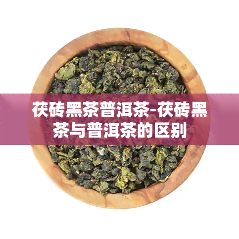 茯砖黑茶普洱茶-茯砖黑茶与普洱茶的区别