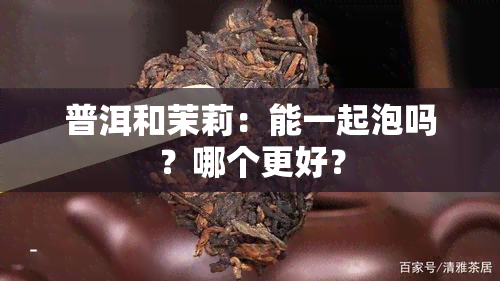 普洱和茉莉：能一起泡吗？哪个更好？