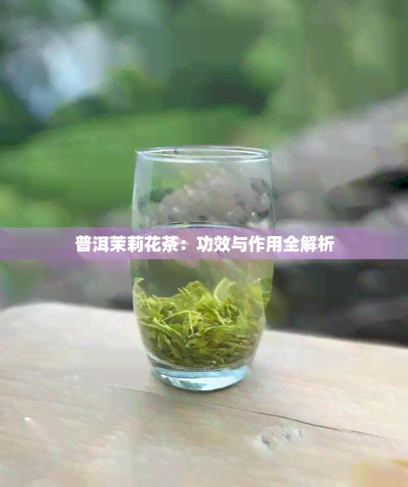 普洱茉莉花茶：功效与作用全解析