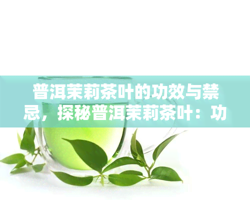 普洱茉莉茶叶的功效与禁忌，探秘普洱茉莉茶叶：功效与禁忌全解析