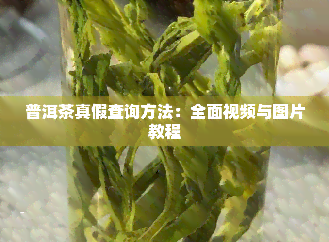 普洱茶真假查询方法：全面视频与图片教程