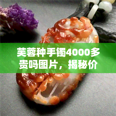 芙蓉种手镯4000多贵吗图片，揭秘价格！芙蓉种手镯4000多元是否值得购买？看图分析！