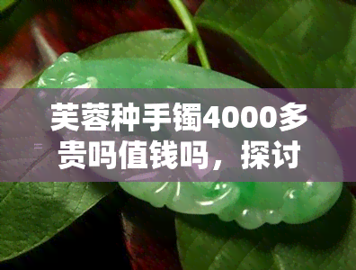 芙蓉种手镯4000多贵吗值钱吗，探讨芙蓉种手镯的价值：4000多元是否值得购买？