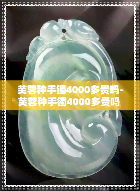 芙蓉种手镯4000多贵吗-芙蓉种手镯4000多贵吗 