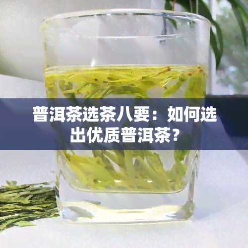 普洱茶选茶八要：如何选出优质普洱茶？