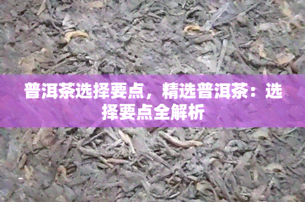 普洱茶选择要点，精选普洱茶：选择要点全解析