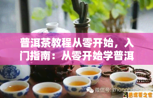 普洱茶教程从零开始，入门指南：从零开始学普洱茶的正确泡法与品鉴技巧