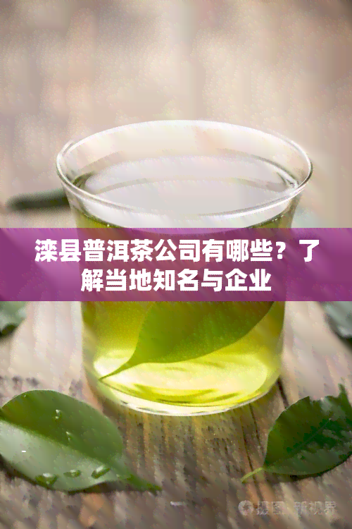 滦县普洱茶公司有哪些？了解当地知名与企业