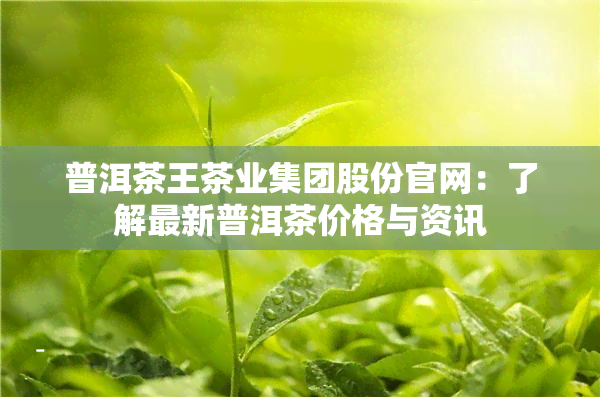 普洱茶王茶业集团股份官网：了解最新普洱茶价格与资讯