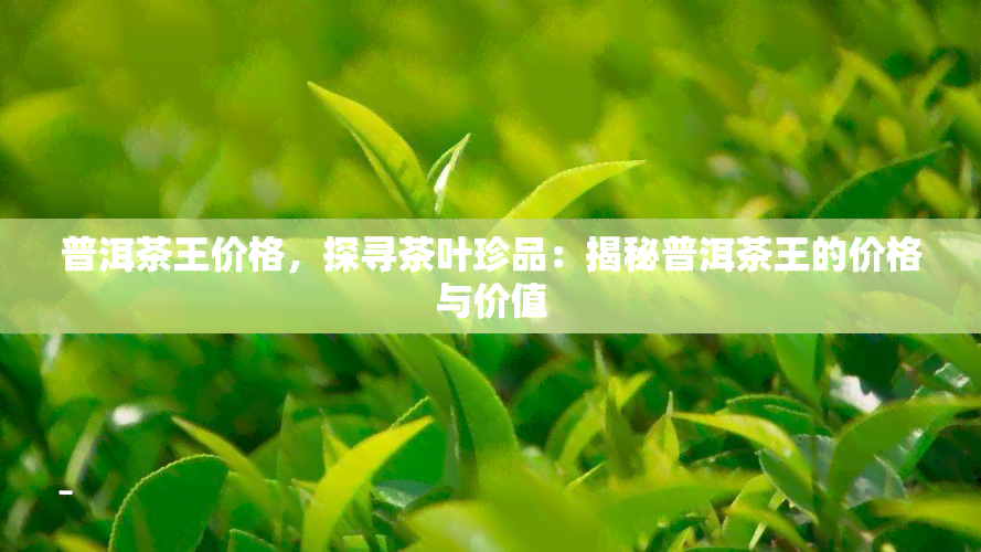 普洱茶王价格，探寻茶叶珍品：揭秘普洱茶王的价格与价值